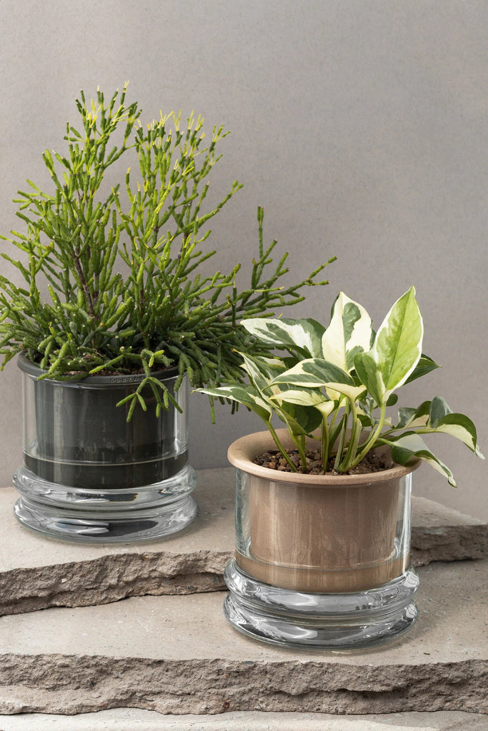 Maceta Ischigualasto (gres)