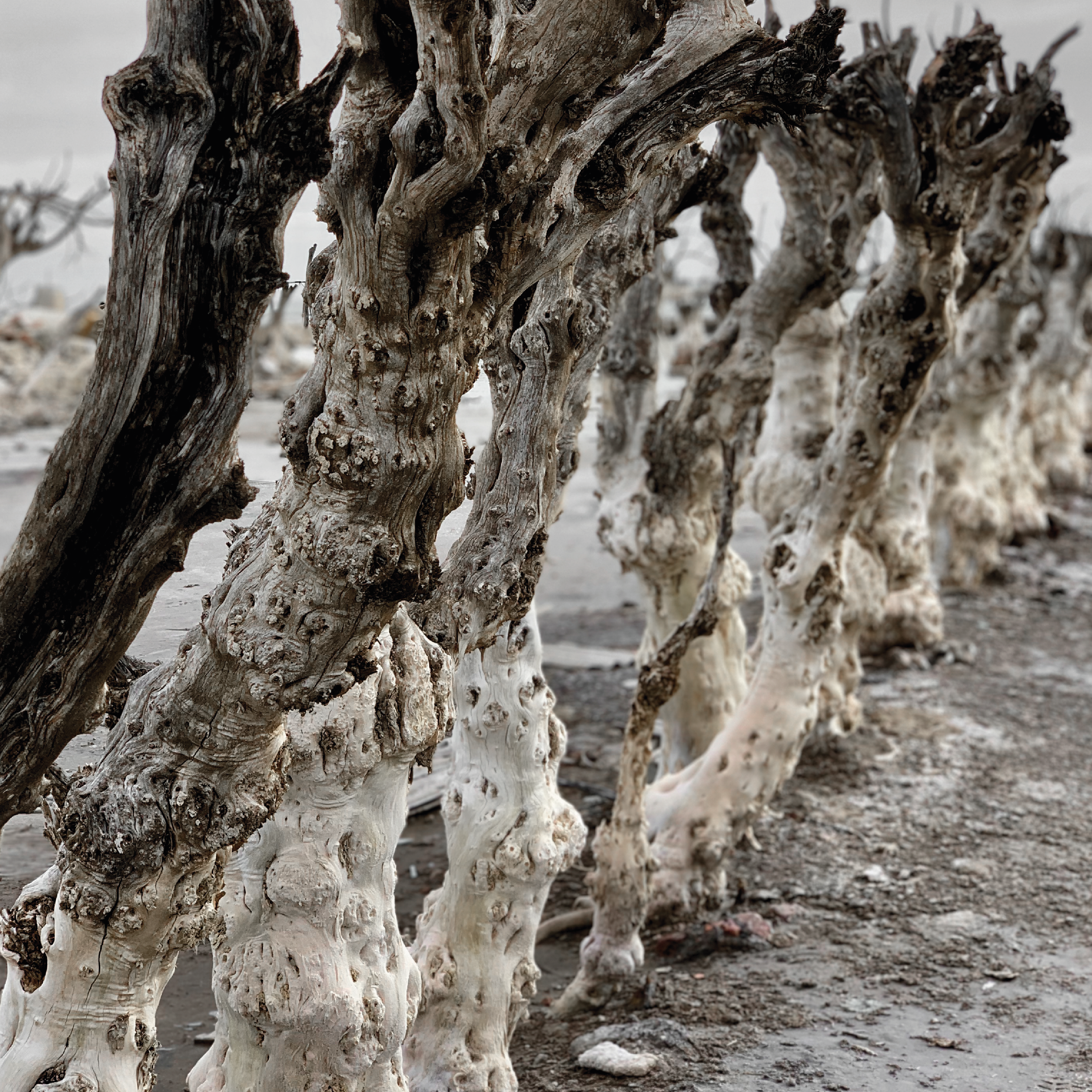 EPECUÉN